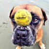 Piłka Waboba - Fetch (Dog Ball) - do zabawy w wodzie z Twoim pupilem