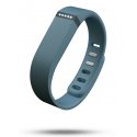 Smartwatch Fitbit Flex