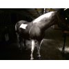 Albedo 100 spray odblaskowy Horse and Pets