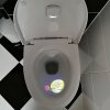 Hologram Do Toalety
