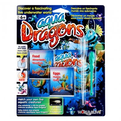 Aqua Dragons - Jajka i Jedzenie