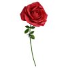 Gigantyczna róża dla ukochanej