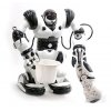RoboAktor - humanoidalny robot zdalnie sterowany